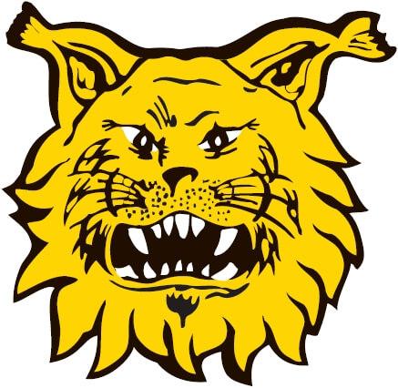 Ilves logo