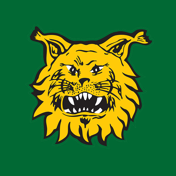 Harri Pyhältö Ilves logo