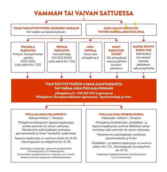 Pihlajalinna hoitopolku 2025 kuva