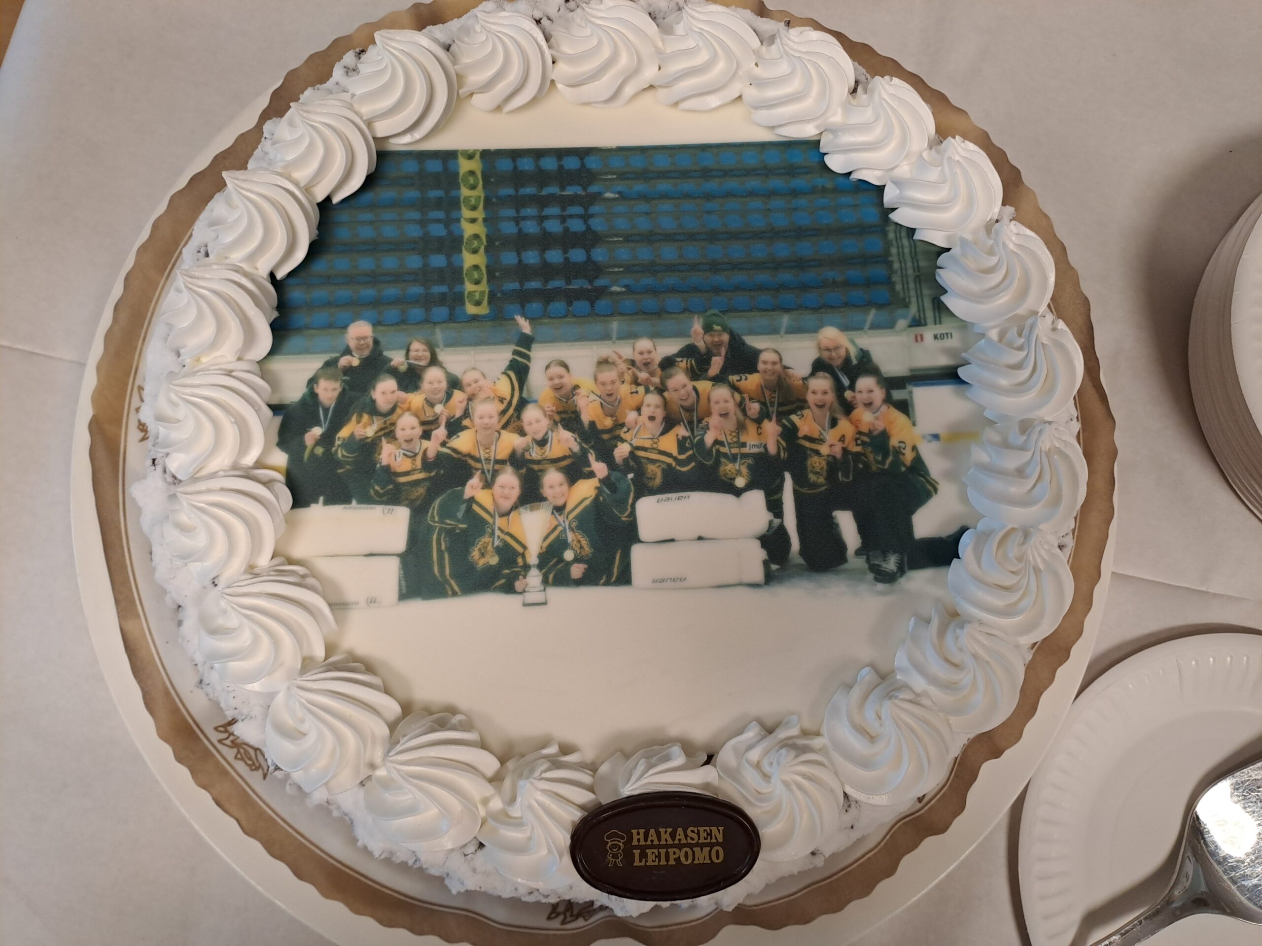 Ilves ringette edustus kakku Ilves ringette edustus kakku
